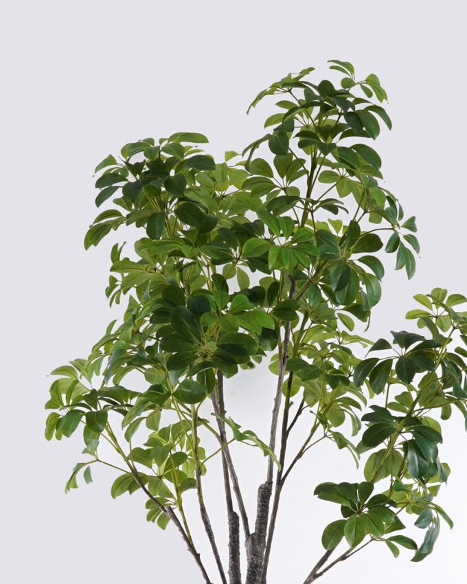 Artificial Tree 95*95*210cm  Leaf in PP pot GS-46726007KD 2026Aug 3,000+ sqm showroom with thousands of artificial flowers, plants & trees ready for global sourcing.