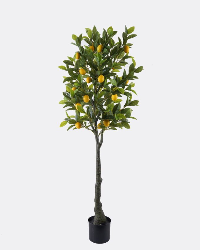 Artificial Tree 57*50*150cm Lemon tree *2 in PP pot/442 lvs GS-30426065 2026Jul 3,000+ sqm showroom with thousands of artificial flowers, plants & trees ready for global sourcing.