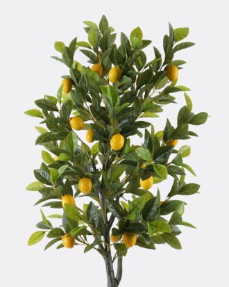 Artificial Tree 57*50*150cm Lemon tree *2 in PP pot/442 lvs GS-30426065 2026Jul 3,000+ sqm showroom with thousands of artificial flowers, plants & trees ready for global sourcing. Artificial Tree 57*50*150cm Lemon tree *2 in PP pot/442 lvs GS-30426065 2026Jul 3,000+ sqm showroom with thousands of artificial flowers, plants & trees ready for global sourcing.