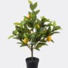 Artificial Tree Lemon tree in PP pot 136 lvs GS-30426058_1 Artificial Tree 37*30*60cm Lemon tree in PP pot/136 lvs GS-30426058 2026Jul 3,000+ sqm showroom with thousands of artificial flowers, plants & trees ready for global sourcing.