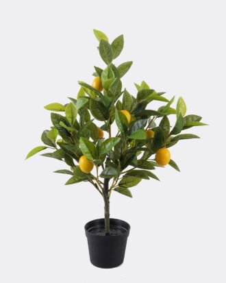 Artificial Tree 37*30*60cm Lemon tree in PP pot/136 lvs GS-30426058 2026Jul 3,000+ sqm showroom with thousands of artificial flowers, plants & trees ready for global sourcing. Artificial Tree 37*30*60cm Lemon tree in PP pot/136 lvs GS-30426058 2026Jul 3,000+ sqm showroom with thousands of artificial flowers, plants & trees ready for global sourcing.