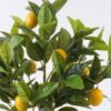 Artificial Tree Lemon tree in PP pot 136 lvs GS-30426058_5 Artificial Tree 37*30*60cm Lemon tree in PP pot/136 lvs GS-30426058 2026Jul 3,000+ sqm showroom with thousands of artificial flowers, plants & trees ready for global sourcing.