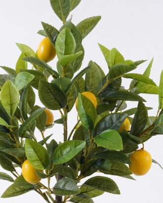 Artificial Tree 37*30*60cm Lemon tree in PP pot/136 lvs GS-30426058 2026Jul 3,000+ sqm showroom with thousands of artificial flowers, plants & trees ready for global sourcing. Artificial Tree 37*30*60cm Lemon tree in PP pot/136 lvs GS-30426058 2026Jul 3,000+ sqm showroom with thousands of artificial flowers, plants & trees ready for global sourcing.