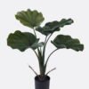 Artificial Tree Licuala in PP pot 6 lvs GS-59525008-G1_1 Artificial Tree 57*57*70cm Licuala in PP pot/6 lvs GS-59525008-G1 2026Aug 3,000+ sqm showroom with thousands of artificial flowers, plants & trees ready for global sourcing.