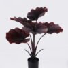 Artificial Tree Livistona rotundifolia in PP pot 6 lvs GS-59526046_8 Artificial Tree 52*43*65cm Livistona rotundifolia in PP pot/6 lvs GS-59526046 2026Aug 3,000+ sqm showroom with thousands of artificial flowers, plants & trees ready for global sourcing.