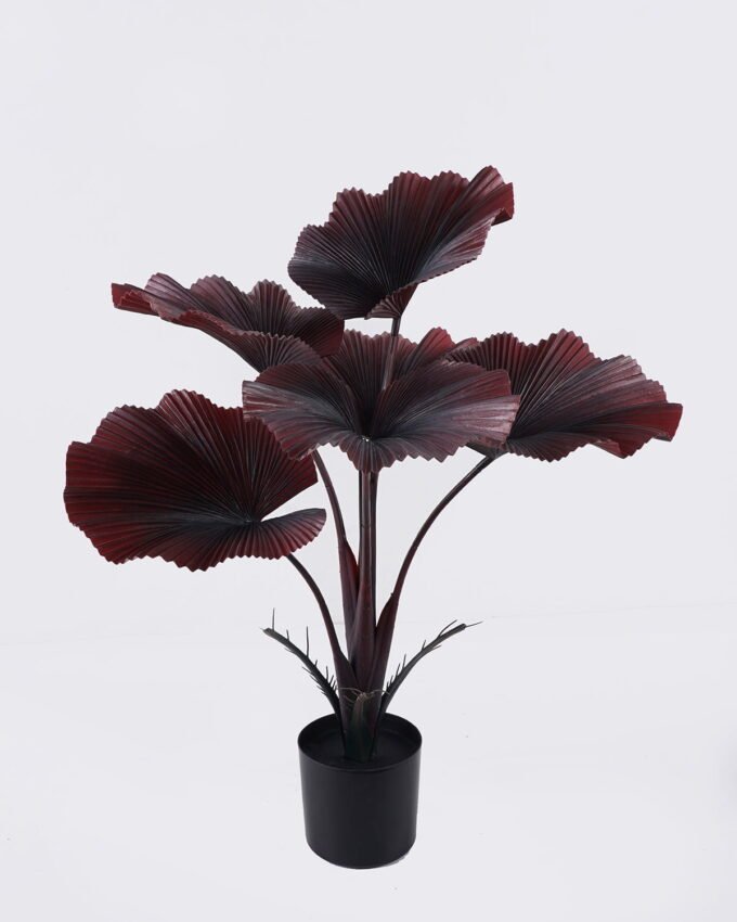 Artificial Tree 52*43*65cm Livistona rotundifolia in PP pot/6 lvs GS-59526046 2026Aug 3,000+ sqm showroom with thousands of artificial flowers, plants & trees ready for global sourcing.