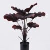 Artificial Tree 63*53*90cm Livistona rotundifolia in PP pot/8 lvs GS-59526045 2026Aug 3,000+ sqm showroom with thousands of artificial flowers, plants & trees ready for global sourcing.