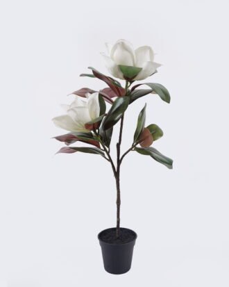 Artificial Tree 35*25*71cm Magnolia in PP pot GS-03326042 2026Jun 3,000+ sqm showroom with thousands of artificial flowers, plants & trees ready for global sourcing. Artificial Tree 35*25*71cm Magnolia in PP pot GS-03326042 2026Jun 3,000+ sqm showroom with thousands of artificial flowers, plants & trees ready for global sourcing.