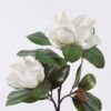 Artificial Tree Magnolia in PP pot GS-03326042_7 Artificial Tree 35*25*71cm Magnolia in PP pot GS-03326042 2026Jun 3,000+ sqm showroom with thousands of artificial flowers, plants & trees ready for global sourcing.