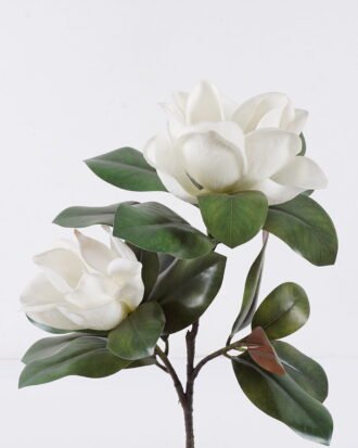 Artificial Tree 35*25*71cm Magnolia in PP pot GS-03326042 2026Jun 3,000+ sqm showroom with thousands of artificial flowers, plants & trees ready for global sourcing. Artificial Tree 35*25*71cm Magnolia in PP pot GS-03326042 2026Jun 3,000+ sqm showroom with thousands of artificial flowers, plants & trees ready for global sourcing.