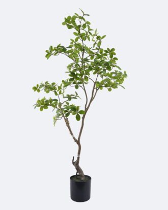 Artificial Tree 78*68*153cm Mangrove leaf tree in PP pot GS-76126024KD 2026Aug 3,000+ sqm showroom with thousands of artificial flowers, plants & trees ready for global sourcing. Artificial Tree 78*68*153cm Mangrove leaf tree in PP pot GS-76126024KD 2026Aug 3,000+ sqm showroom with thousands of artificial flowers, plants & trees ready for global sourcing.