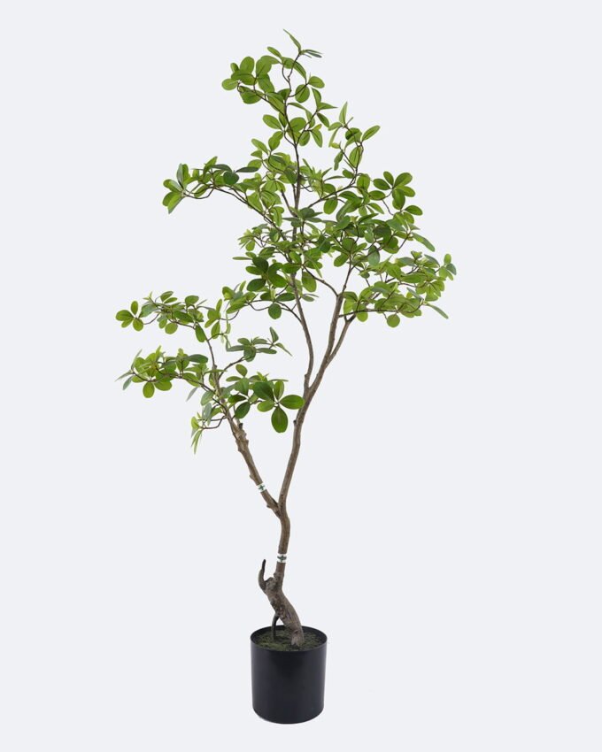 Artificial Tree 78*68*153cm Mangrove leaf tree in PP pot GS-76126024KD 2026Aug 3,000+ sqm showroom with thousands of artificial flowers, plants & trees ready for global sourcing.