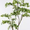 Artificial Tree 78*68*153cm Mangrove leaf tree in PP pot GS-76126024KD 2026Aug 3,000+ sqm showroom with thousands of artificial flowers, plants & trees ready for global sourcing.