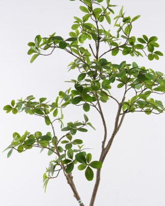 Artificial Tree 78*68*153cm Mangrove leaf tree in PP pot GS-76126024KD 2026Aug 3,000+ sqm showroom with thousands of artificial flowers, plants & trees ready for global sourcing. Artificial Tree 78*68*153cm Mangrove leaf tree in PP pot GS-76126024KD 2026Aug 3,000+ sqm showroom with thousands of artificial flowers, plants & trees ready for global sourcing.