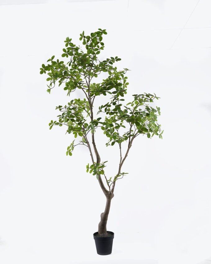 Artificial Tree 120*80*213cm Mangrove leaf tree in PP pot GS-76126025KD 2026Aug 3,000+ sqm showroom with thousands of artificial flowers, plants & trees ready for global sourcing.