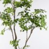 Artificial Tree Mangrove leaf tree in PP pot GS-76126025KD_7 Artificial Tree 120*80*213cm Mangrove leaf tree in PP pot GS-76126025KD 2026Aug 3,000+ sqm showroom with thousands of artificial flowers, plants & trees ready for global sourcing.