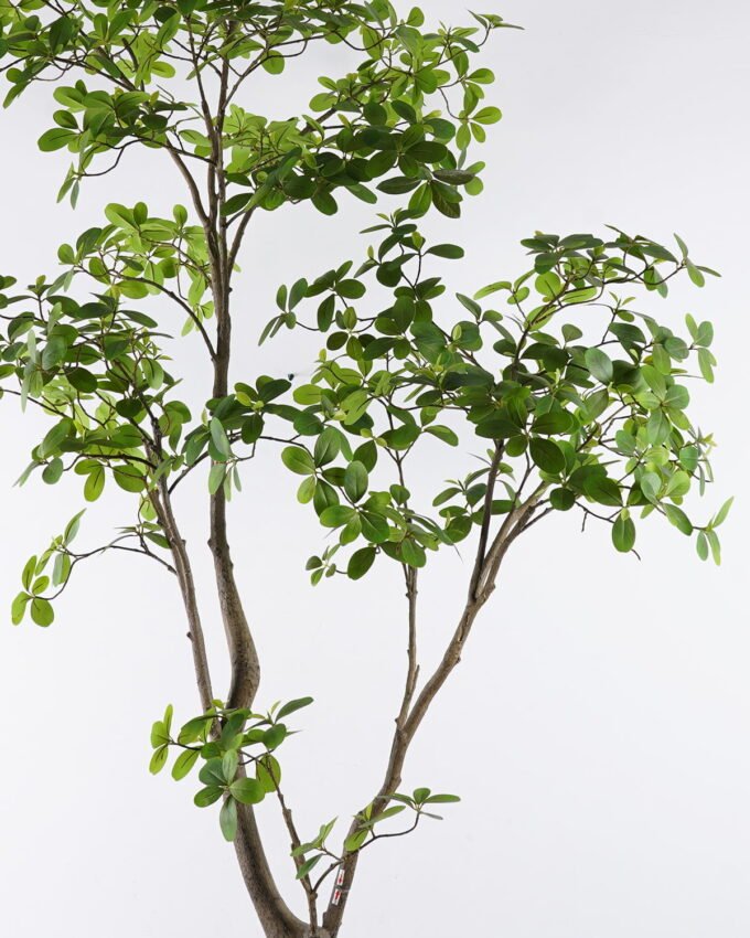 Artificial Tree 120*80*213cm Mangrove leaf tree in PP pot GS-76126025KD 2026Aug 3,000+ sqm showroom with thousands of artificial flowers, plants & trees ready for global sourcing.