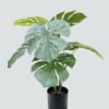 Artificial Tree Monstera in PP pot 8 lvs GS-59526031 Artificial Tree 52*50*60cm Monstera in PP pot/8 lvs GS-59526031 2026Aug 3,000+ sqm showroom with thousands of artificial flowers, plants & trees ready for global sourcing.