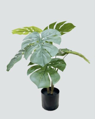 Artificial Tree 52*50*60cm Monstera in PP pot/8 lvs GS-59526031 2026Aug 3,000+ sqm showroom with thousands of artificial flowers, plants & trees ready for global sourcing. Artificial Tree 52*50*60cm Monstera in PP pot/8 lvs GS-59526031 2026Aug 3,000+ sqm showroom with thousands of artificial flowers, plants & trees ready for global sourcing.