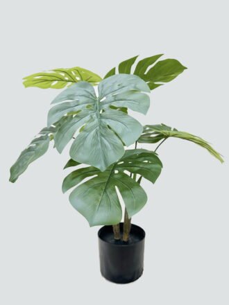 Artificial Tree 44*44*80cm Fiddle Ficus in PP pot/16 lvs GS-59526030 2026Aug 3,000+ sqm showroom with thousands of artificial flowers, plants & trees ready for global sourcing.