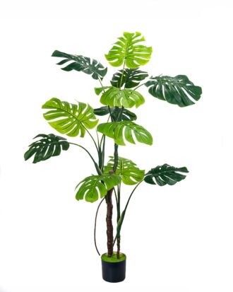 Artificial Tree 55*40*160cm Monstera in PP pot GS-83426006KD 2026SEP 3,000+ sqm showroom with thousands of artificial flowers, plants & trees ready for global sourcing. Artificial Tree 55*40*160cm Monstera in PP pot GS-83426006KD 2026SEP 3,000+ sqm showroom with thousands of artificial flowers, plants & trees ready for global sourcing.