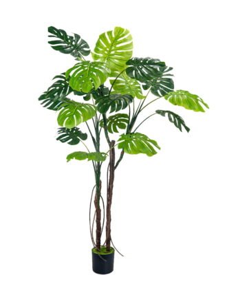 Artificial Tree 65*60*200cm Monstera in PP pot GS-83426007KD 2026SEP 3,000+ sqm showroom with thousands of artificial flowers, plants & trees ready for global sourcing. Artificial Tree 65*60*200cm Monstera in PP pot GS-83426007KD 2026SEP 3,000+ sqm showroom with thousands of artificial flowers, plants & trees ready for global sourcing.