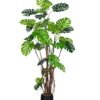 Artificial Tree Monstera in PP pot GS-83426008KD Artificial Tree 120*100*240cm Monstera in PP pot GS-83426008KD 2026SEP 3,000+ sqm showroom with thousands of artificial flowers, plants & trees ready for global sourcing.