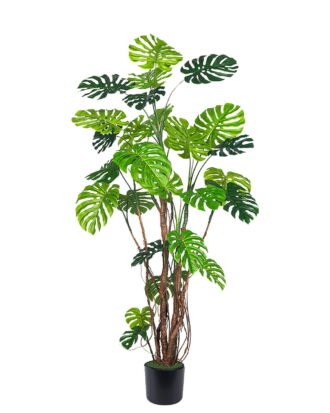 Artificial Tree 120*100*240cm Monstera in PP pot GS-83426008KD 2026SEP 3,000+ sqm showroom with thousands of artificial flowers, plants & trees ready for global sourcing. Artificial Tree 120*100*240cm Monstera in PP pot GS-83426008KD 2026SEP 3,000+ sqm showroom with thousands of artificial flowers, plants & trees ready for global sourcing.
