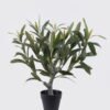 Artificial Tree Olive 2 in PP pot 50 lvs GS-30426043 Artificial Tree 38*24*40cm Olive *2 in PP pot/50 lvs GS-30426043 2026Jul 3,000+ sqm showroom with thousands of artificial flowers, plants & trees ready for global sourcing.