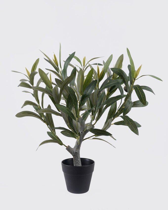 Artificial Tree 38*24*40cm Olive *2 in PP pot/50 lvs GS-30426043 2026Jul 3,000+ sqm showroom with thousands of artificial flowers, plants & trees ready for global sourcing.