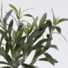 Artificial Tree Olive 2 in PP pot 50 lvs GS-30426043_1 Artificial Tree 38*24*40cm Olive *2 in PP pot/50 lvs GS-30426043 2026Jul 3,000+ sqm showroom with thousands of artificial flowers, plants & trees ready for global sourcing.