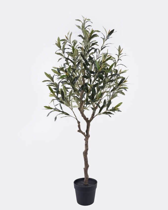 Artificial Tree 57*52*120cm Olive in PP pot/10 Lvs GS-84626005 2026SEP 3,000+ sqm showroom with thousands of artificial flowers, plants & trees ready for global sourcing.