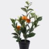 Artificial Tree Orange tree 3 in PP pot 57 lvs GS-30426039_1 Artificial Tree 25*18*45cm Orange tree *3 in PP pot/57 lvs GS-30426039 2026Jul 3,000+ sqm showroom with thousands of artificial flowers, plants & trees ready for global sourcing.