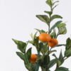 Artificial Tree Orange tree 3 in PP pot 57 lvs GS-30426039_5 Artificial Tree 25*18*45cm Orange tree *3 in PP pot/57 lvs GS-30426039 2026Jul 3,000+ sqm showroom with thousands of artificial flowers, plants & trees ready for global sourcing.