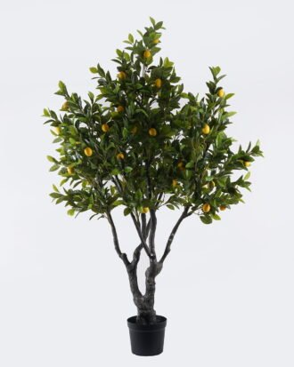 Artificial Tree 115*94*200cm Orange tree *56 in PP pot/1904 lvs GS-30426045KD 2026Jul 3,000+ sqm showroom with thousands of artificial flowers, plants & trees ready for global sourcing. Artificial Tree 115*94*200cm Orange tree *56 in PP pot/1904 lvs GS-30426045KD 2026Jul 3,000+ sqm showroom with thousands of artificial flowers, plants & trees ready for global sourcing.