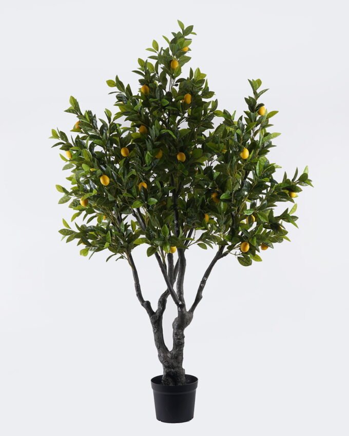 Artificial Tree 115*94*200cm Orange tree *56 in PP pot/1904 lvs GS-30426045KD 2026Jul 3,000+ sqm showroom with thousands of artificial flowers, plants & trees ready for global sourcing.