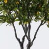 Artificial Tree 115*94*200cm Orange tree *56 in PP pot/1904 lvs GS-30426045KD 2026Jul 3,000+ sqm showroom with thousands of artificial flowers, plants & trees ready for global sourcing.