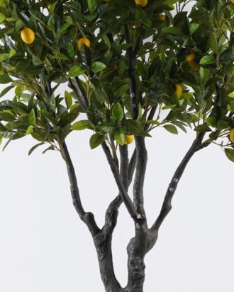 Artificial Tree 115*94*200cm Orange tree *56 in PP pot/1904 lvs GS-30426045KD 2026Jul 3,000+ sqm showroom with thousands of artificial flowers, plants & trees ready for global sourcing. Artificial Tree 115*94*200cm Orange tree *56 in PP pot/1904 lvs GS-30426045KD 2026Jul 3,000+ sqm showroom with thousands of artificial flowers, plants & trees ready for global sourcing.