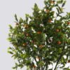 Artificial Tree 115*94*200cm Orange tree *58 in PP pot/1815 lvs GS-30426044KD 2026Jul 3,000+ sqm showroom with thousands of artificial flowers, plants & trees ready for global sourcing.