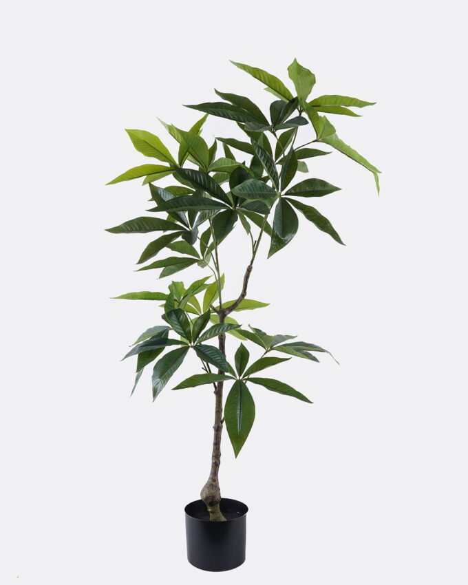 Artificial Tree 58*48*120cm Pachira macrocarpa in PP pot/108 lvs GS-30426063 2026Jul 3,000+ sqm showroom with thousands of artificial flowers, plants & trees ready for global sourcing.