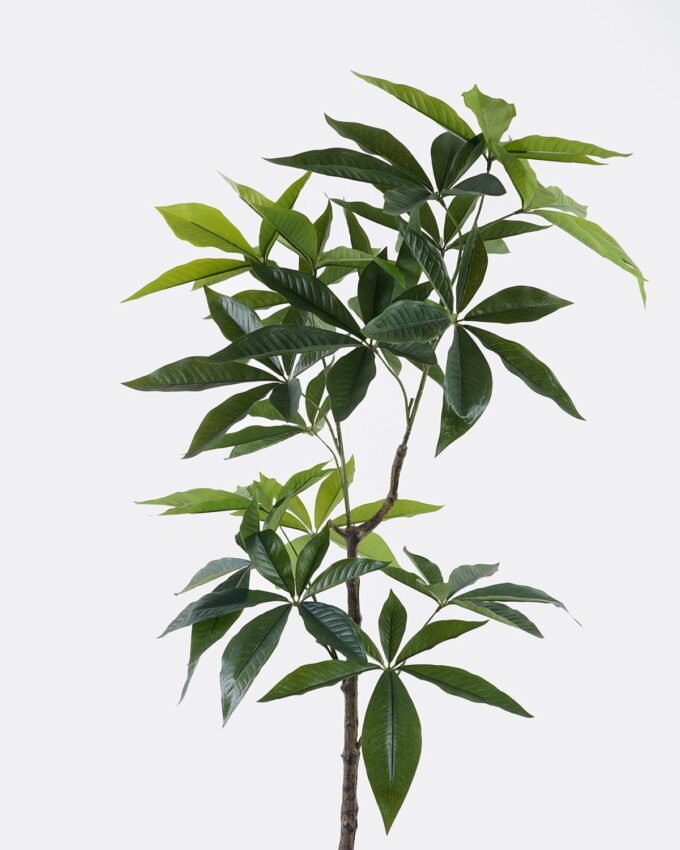 Artificial Tree 58*48*120cm Pachira macrocarpa in PP pot/108 lvs GS-30426063 2026Jul 3,000+ sqm showroom with thousands of artificial flowers, plants & trees ready for global sourcing.