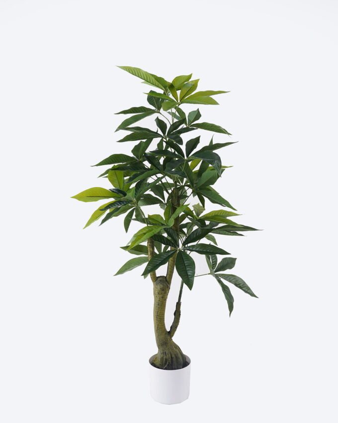 Artificial Tree 58*54*120cm Pachira macrocarpa in PP pot/150 lvs GS-30426026 2026Jul 3,000+ sqm showroom with thousands of artificial flowers, plants & trees ready for global sourcing.