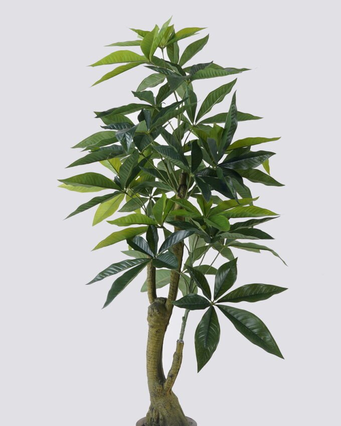 Artificial Tree 58*54*120cm Pachira macrocarpa in PP pot/150 lvs GS-30426026 2026Jul 3,000+ sqm showroom with thousands of artificial flowers, plants & trees ready for global sourcing.