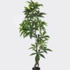 Artificial Tree Pachira macrocarpa in PP pot 180 lvs GS-30426057_4 Artificial Tree 52*53*140cm Pachira macrocarpa in PP pot/180 lvs GS-30426057 2026Jul 3,000+ sqm showroom with thousands of artificial flowers, plants & trees ready for global sourcing.