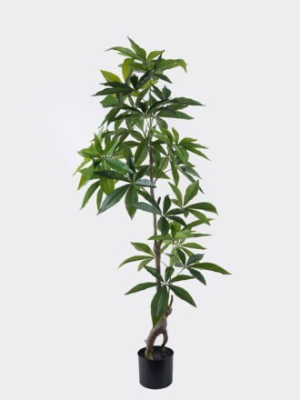 Artificial Tree 51*48*170cm Pachira macrocarpa in PP pot/216 lvs GS-30426060 2026Jul 3,000+ sqm showroom with thousands of artificial flowers, plants & trees ready for global sourcing.