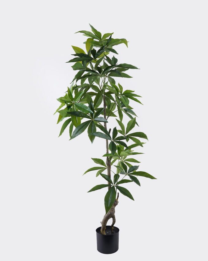Artificial Tree 52*53*140cm Pachira macrocarpa in PP pot/180 lvs GS-30426057 2026Jul 3,000+ sqm showroom with thousands of artificial flowers, plants & trees ready for global sourcing.