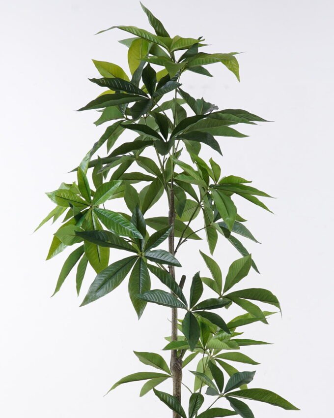 Artificial Tree Pachira macrocarpa in PP pot 180 lvs GS-30426057_6 Artificial Tree 52*53*140cm Pachira macrocarpa in PP pot/180 lvs GS-30426057 2026Jul 3,000+ sqm showroom with thousands of artificial flowers, plants & trees ready for global sourcing.