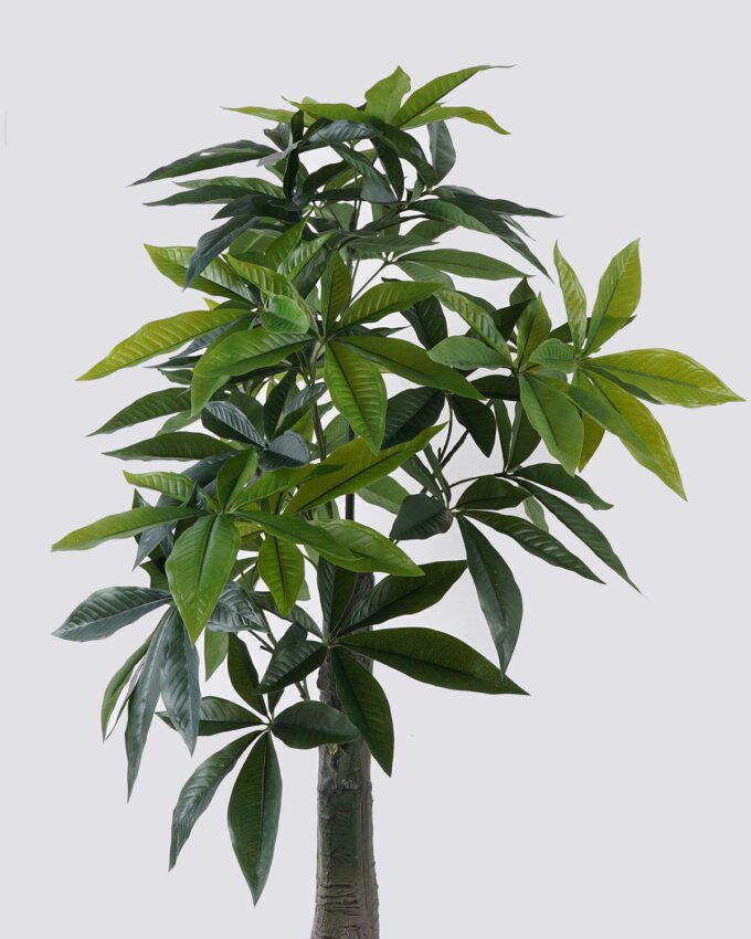 Artificial Tree 65*60*120cm Pachira macrocarpa in PP pot/204 lvs GS-30426027 2026Jul 3,000+ sqm showroom with thousands of artificial flowers, plants & trees ready for global sourcing.