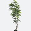 Artificial Tree Pachira macrocarpa in PP pot 216 lvs GS-30426060_1 Artificial Tree 51*48*170cm Pachira macrocarpa in PP pot/216 lvs GS-30426060 2026Jul 3,000+ sqm showroom with thousands of artificial flowers, plants & trees ready for global sourcing.