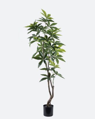 Artificial Tree 51*48*170cm Pachira macrocarpa in PP pot/216 lvs GS-30426060 2026Jul 3,000+ sqm showroom with thousands of artificial flowers, plants & trees ready for global sourcing. Artificial Tree 51*48*170cm Pachira macrocarpa in PP pot/216 lvs GS-30426060 2026Jul 3,000+ sqm showroom with thousands of artificial flowers, plants & trees ready for global sourcing.